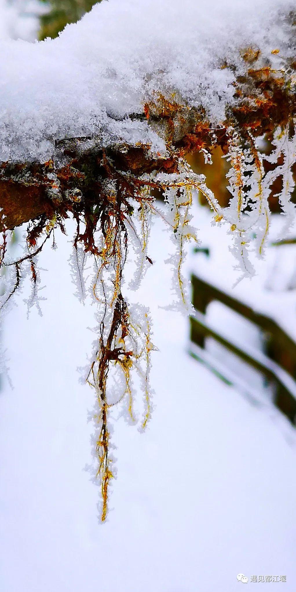 云之秘境手镯在哪买（云赏景 | 都江堰这个秘境里的雪，看一眼便怦然心动~）-第12张图片-拓城游