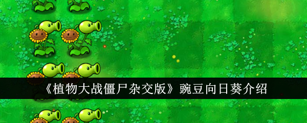 《植物大战僵尸杂交版》豌豆向日葵介绍-植物大战僵尸杂交版游戏攻略推荐