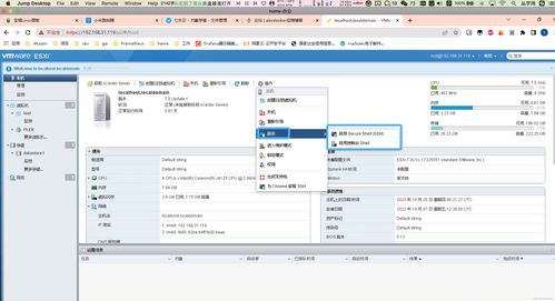 vmware esxi是什么（夹带私活？唱，跳，篮球？NAS搭建功能齐全插件巨多的傲星工具箱）