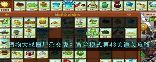 《植物大战僵尸杂交版》冒险模式第43关通关攻略-植物大战僵尸杂交版游戏攻略推荐