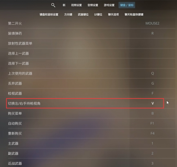 《cs2》切换左右手方法介绍-反恐精英：全球攻势游戏攻略推荐-第2张图片-拓城游