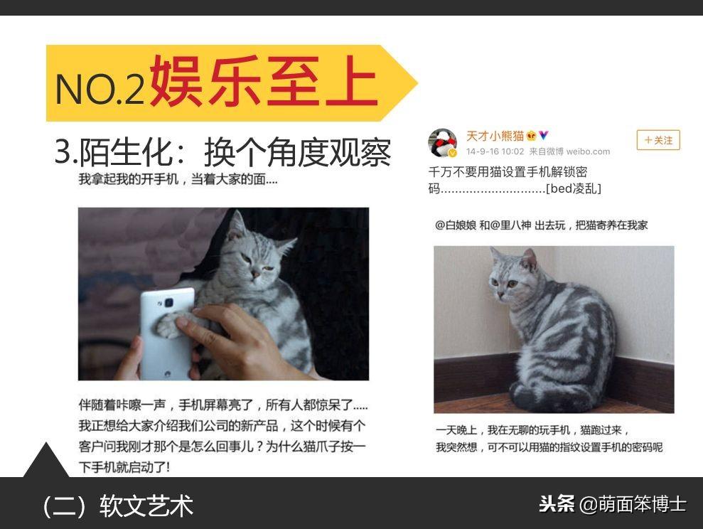 天才小熊猫的故事是真的吗（他是曾与王思聪困在一起的男人——天才小熊猫）-第19张图片-拓城游