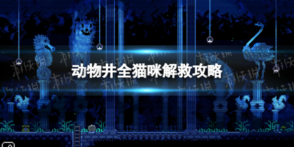 《动物井》全猫咪解救攻略-动物井游戏攻略推荐