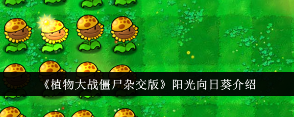 《植物大战僵尸杂交版》阳光向日葵介绍-植物大战僵尸杂交版游戏攻略推荐