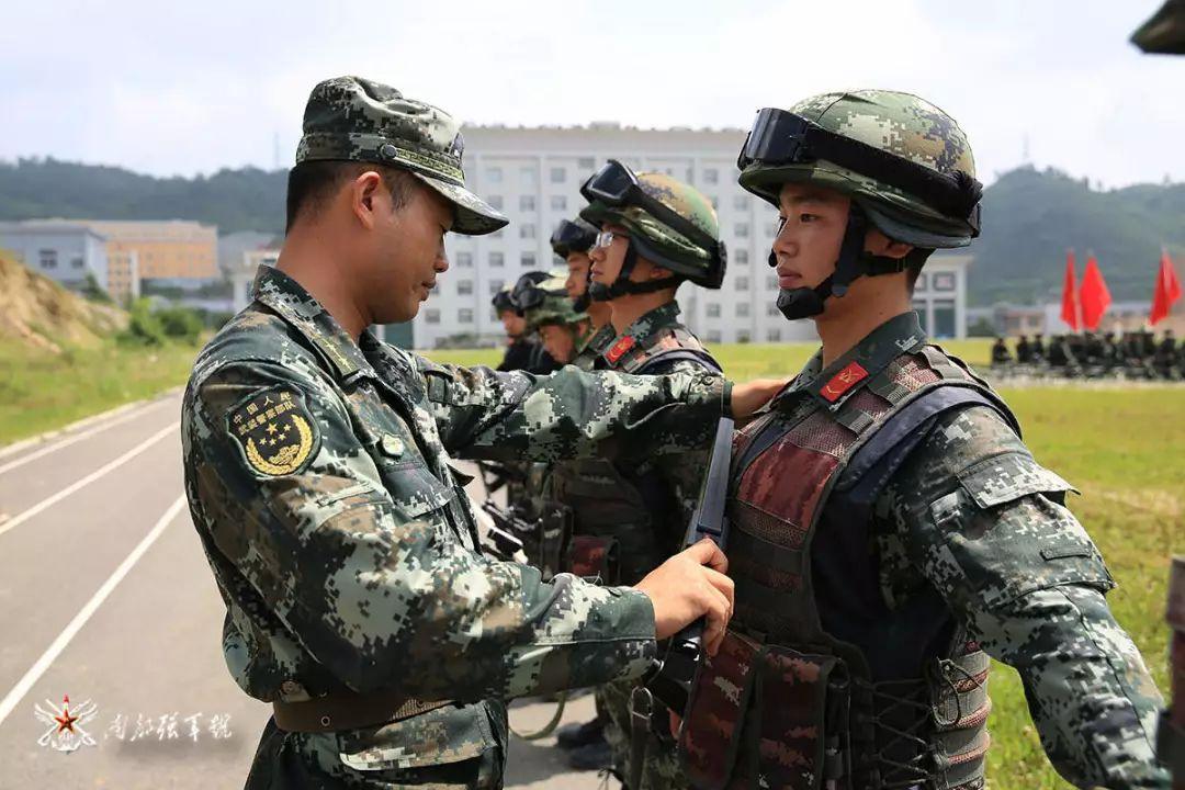 三国志战略版龙虎争霸赛规则（“龙虎争霸”，看谁才是笑到终点的最后赢家……）-第5张图片-拓城游