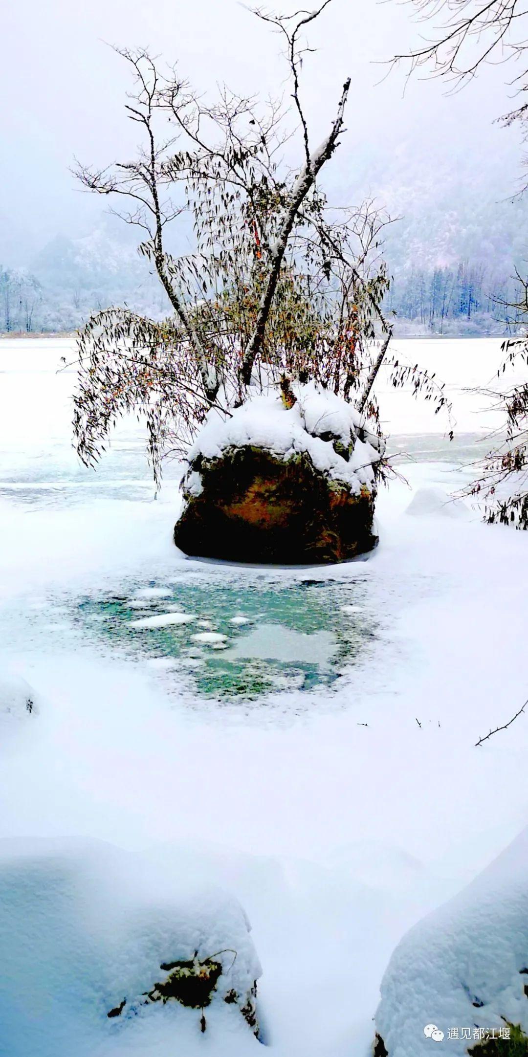 云之秘境手镯在哪买（云赏景 | 都江堰这个秘境里的雪，看一眼便怦然心动~）-第13张图片-拓城游